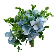 Hortenzia