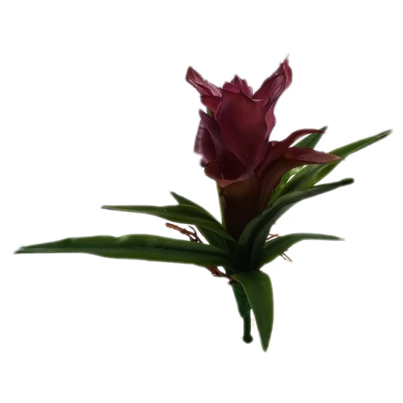 Bromélia, lila