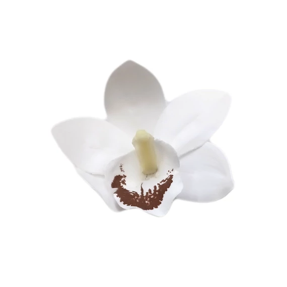 Gumi orchidea fej, fehér-barna