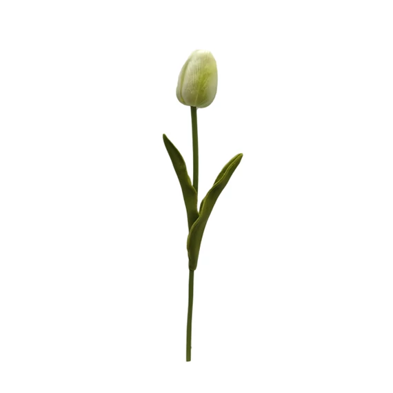 Polifoam tulipán, krém-zöld