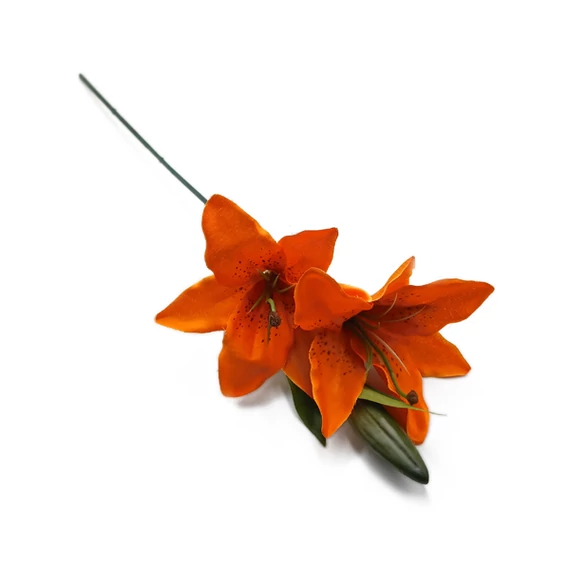 Liliom ág, korallpiros