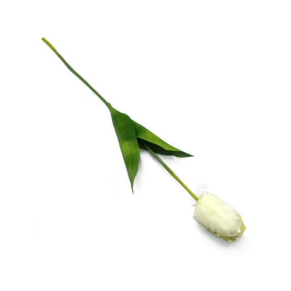 Tulipán óriás szál, fehér