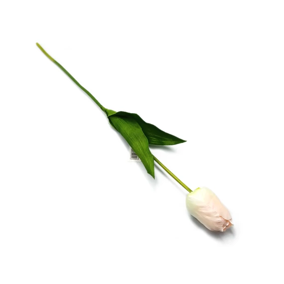 Tulipán óriás szál, halványrózsaszín