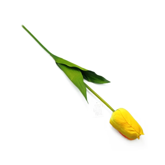 Tulipán óriás szál, sárga
