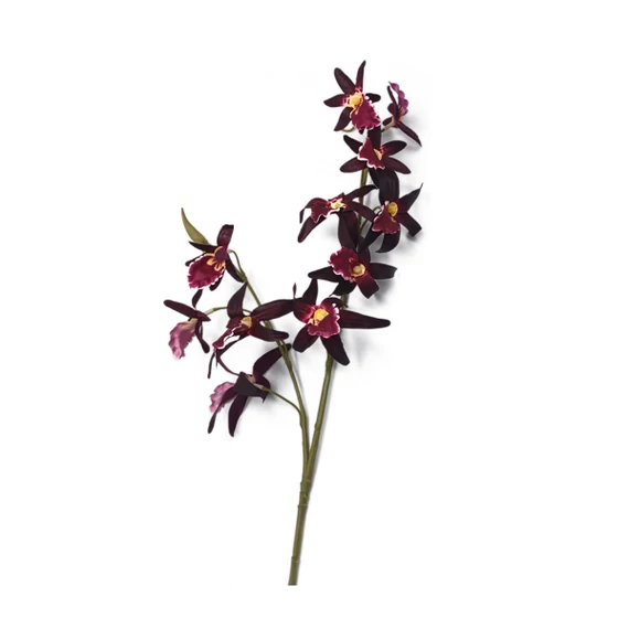 Orchidea szál, prémium