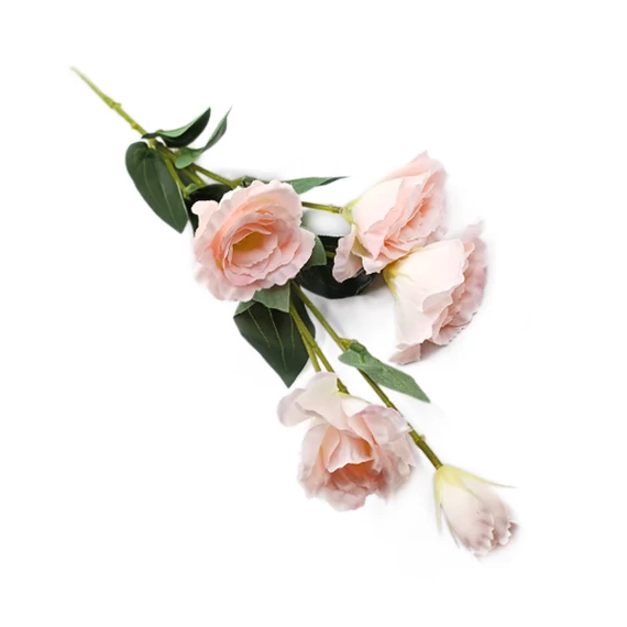 Lisianthus ág, halványrózsaszín