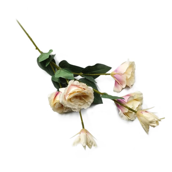 Lisianthus ág, krém-mályva