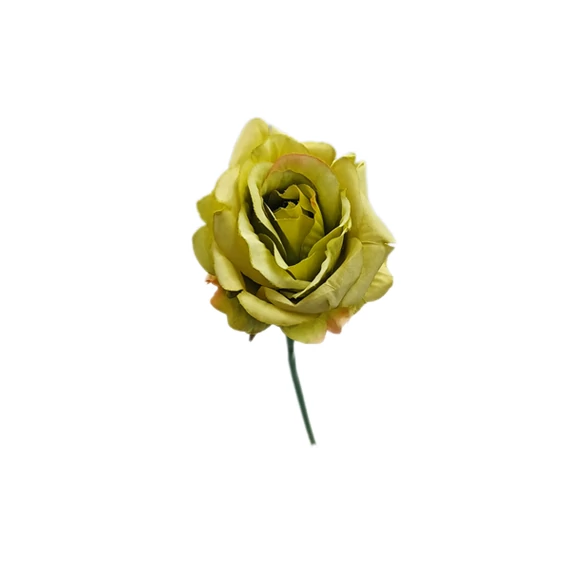 Rózsaszál 25 cm, zöld
