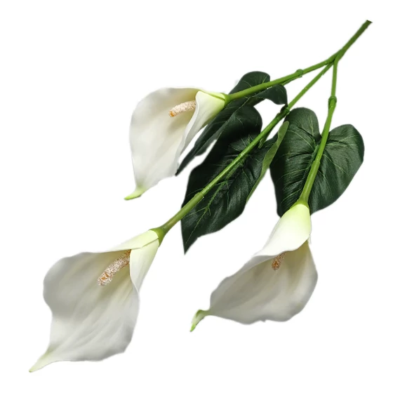 Kála ág, fehér