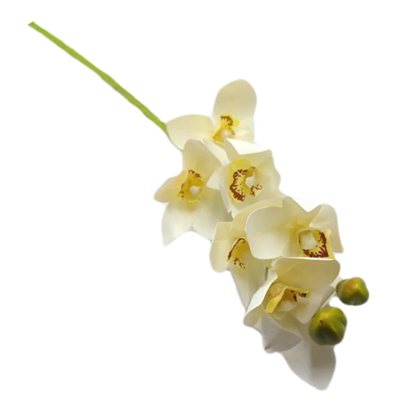 Gumi orchidea 6 virág, fehér-sárga