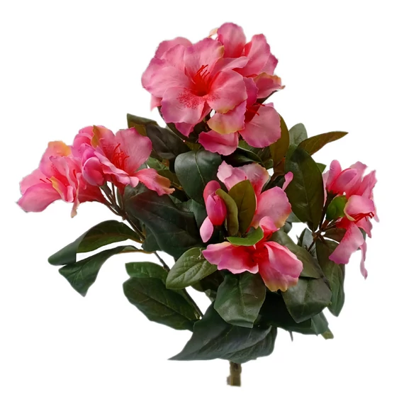Rhododendron bokor, rózsaszín