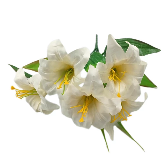 Liliomcsokor, törtfehér