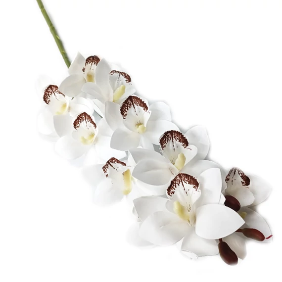 Orchidea szál, fehér-barna közép