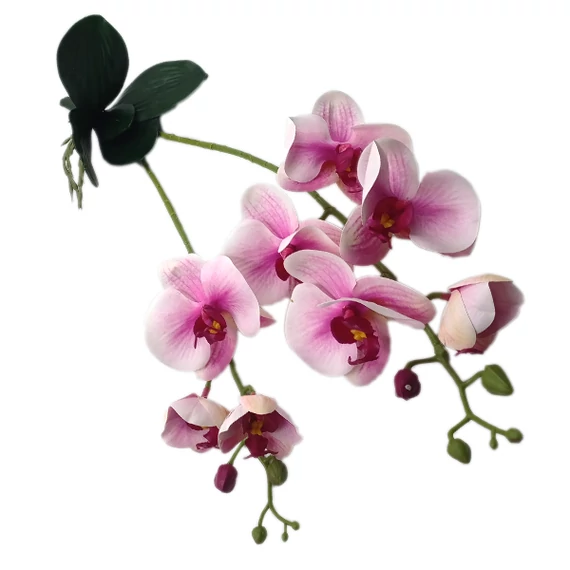Prémium orchidea, rózsaszín-pink