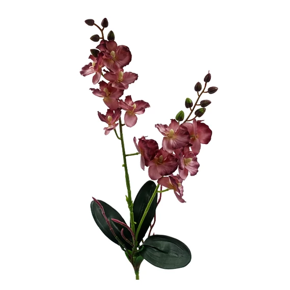 Orchidea selyem szál, mályva