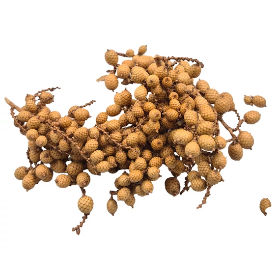 Canella bogyó, natúr