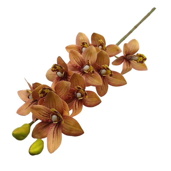 Orchidea (cymbidium), barna-sárga