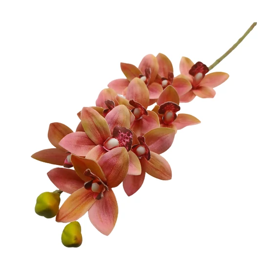 Orchidea (cymbidium), pink-sárga