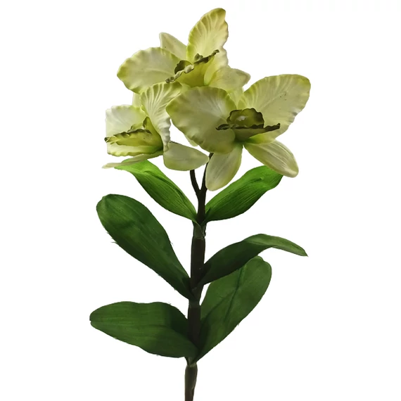 Gumi orchidea 3 virág, zöld