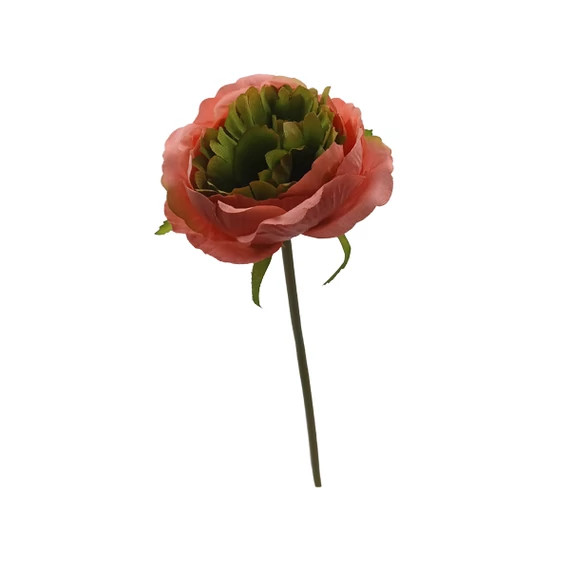 Peony szál, pink-zöld
