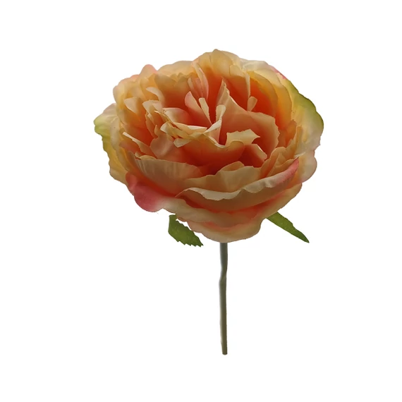 Peony színátmenetes szál, krém-rózsaszín