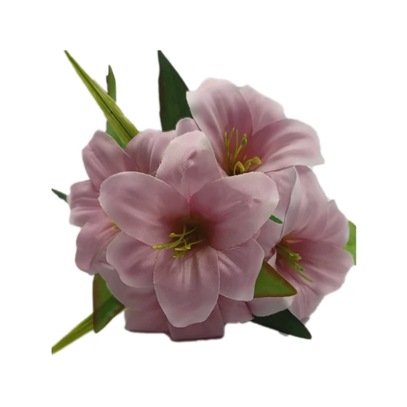 Liliomcsokor, lila