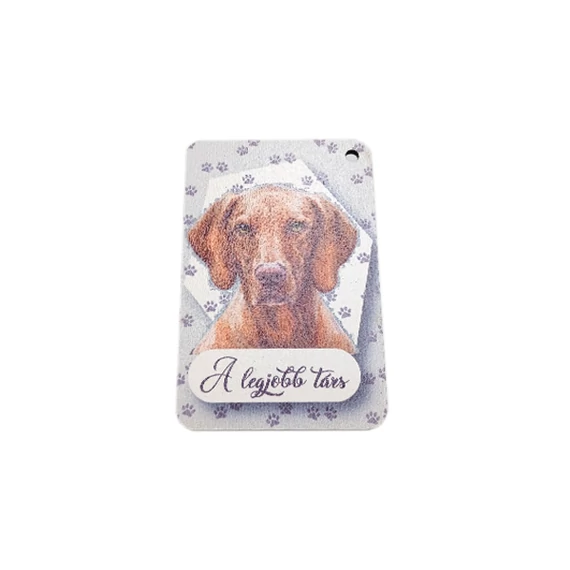 Kutyás tábla, vizsla