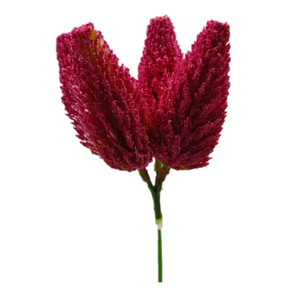 Pamacsfejes betűző, pink