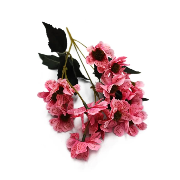 Rajzos szirmú csokor, pink