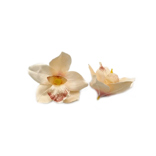 Orchidea szatén fej, barack