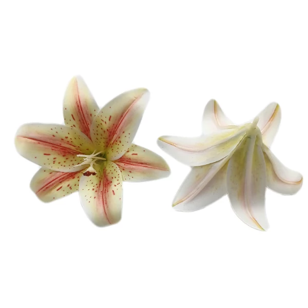 Gumi liliom fej 15 cm, krém-rózsaszín