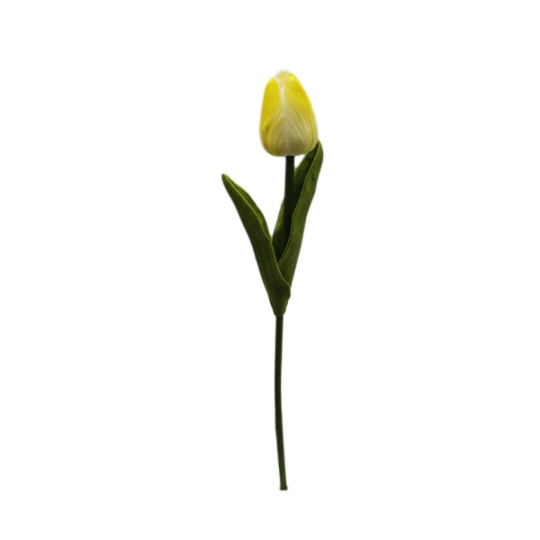 Polifoam tulipán, krém-sárga