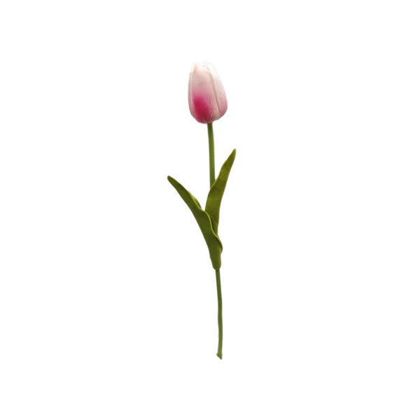 Polifoam tulipán, rózsaszín-fehér