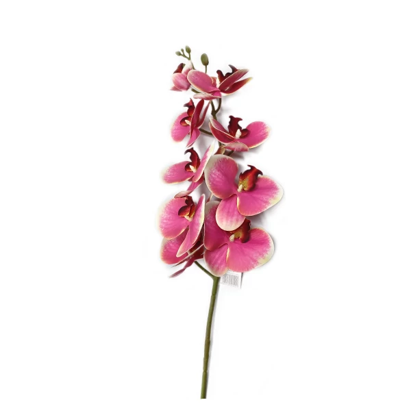 Orchidea 1 m, pink-krém
