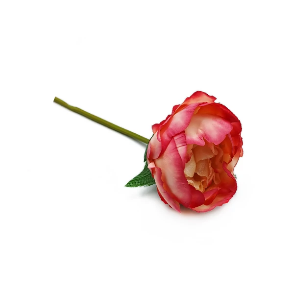 Peony szál, krém-mályva