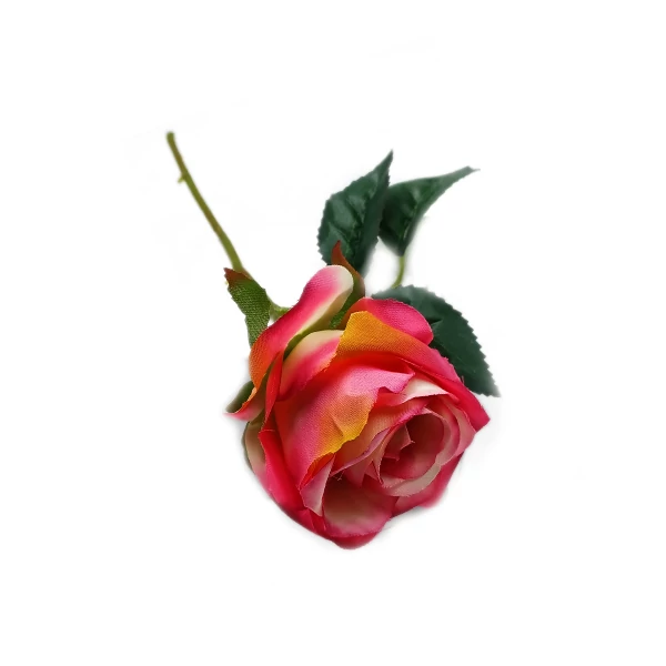 Rózsaszál 30 cm, pink-krém