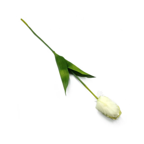 Tulipán óriás szál, fehér