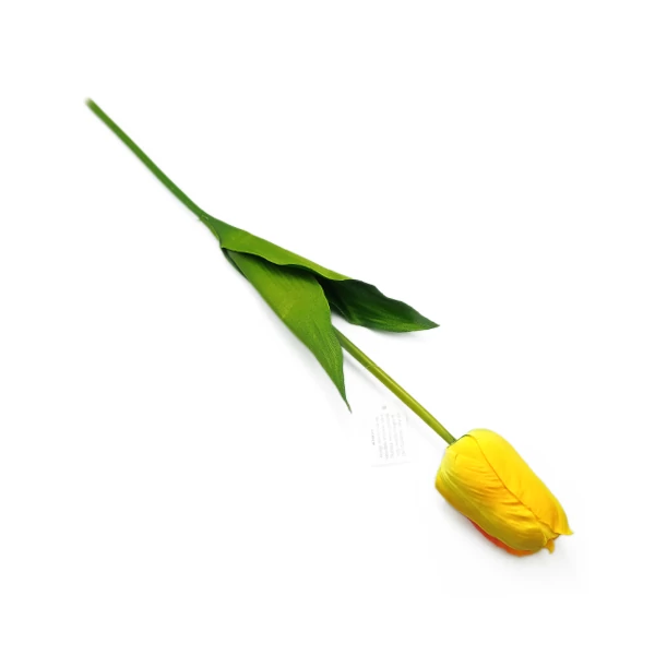 Tulipán óriás szál, sárga