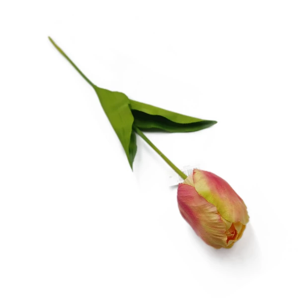 Tulipán óriás szál, sárga-pink