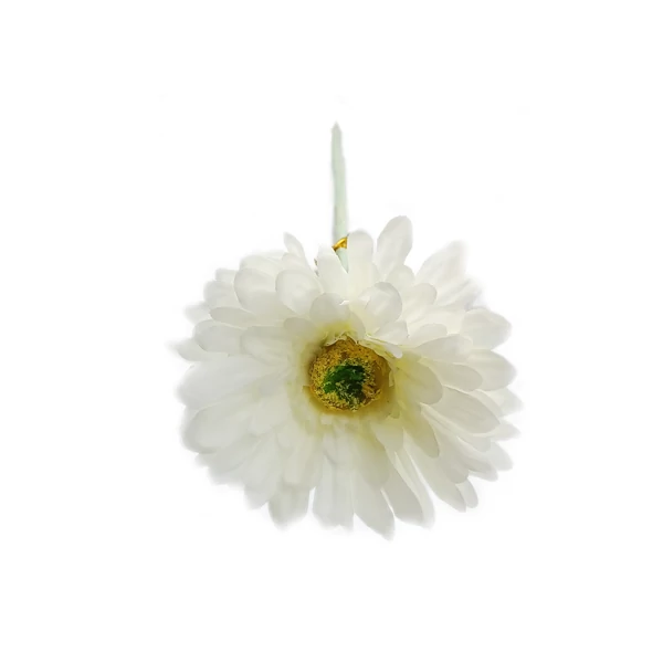 Gerbera szál, törtfehér