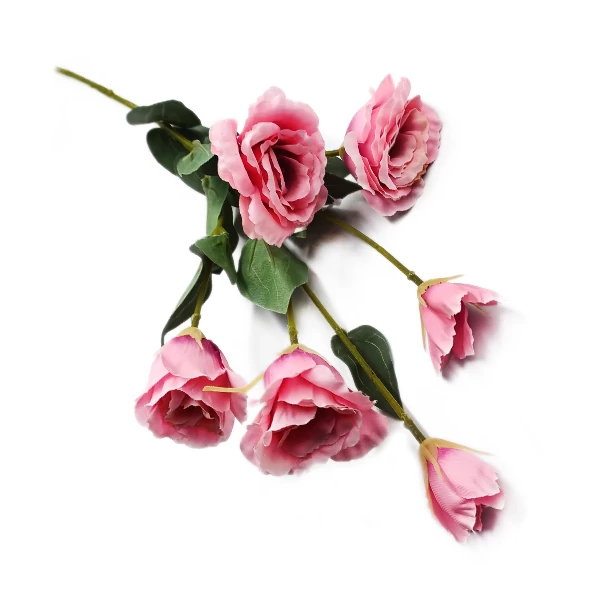 Lisianthus ág, rózsaszín-mályva