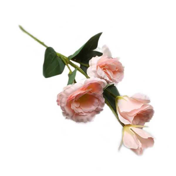 Lisianthus szál, halványrózsaszín