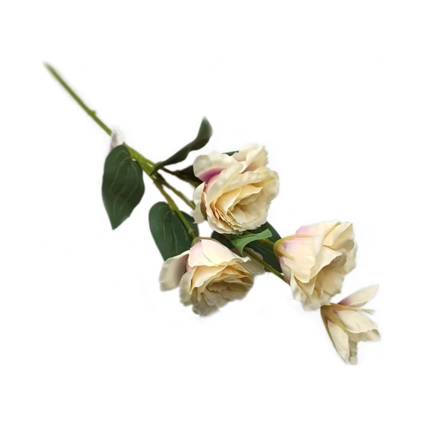 Lisianthus szál, krém-mályva
