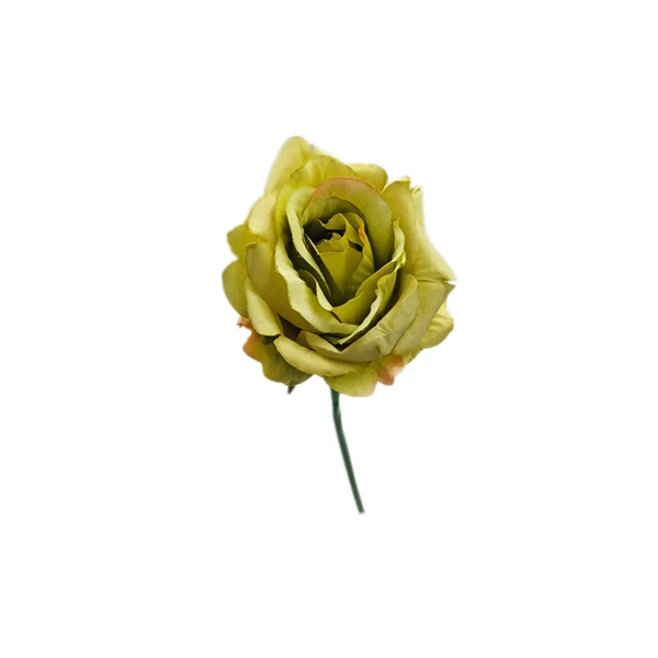 Rózsaszál 25 cm, zöld