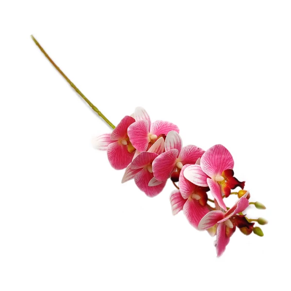 Gumi orchidea 7 virág, rózsaszín 06