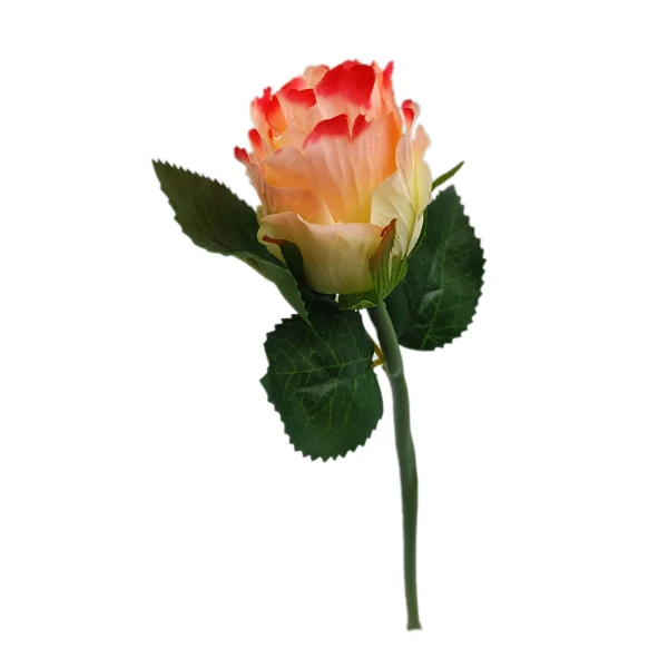 Rózsabimbó szál, pink-vaj