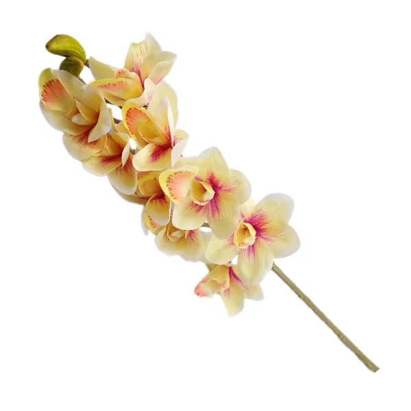 Gumi orchidea 90 cm, krém-pink