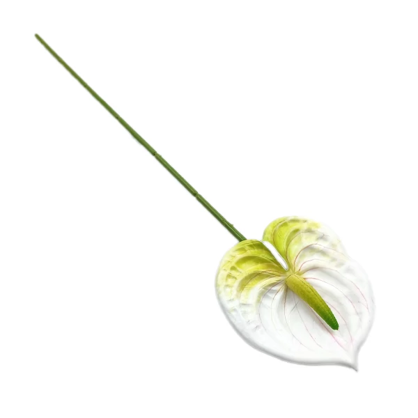 Flamingó szál 41 cm, fehér-zöld