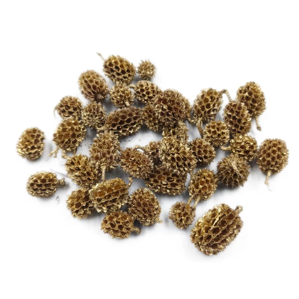 Casuarina, csillámos arany