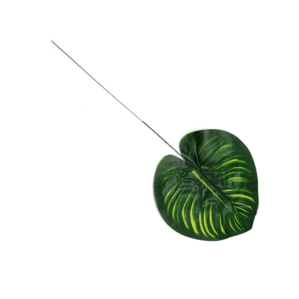 Calathea levél
